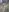 DeepSecret0's photo