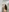 40 surprise photos