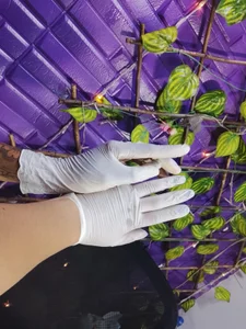 WhipAndDesireRs sexy Pic 3