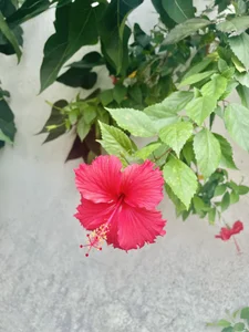 Aya0606のPublicの 2枚の写真