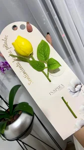 Elyross1_ Details 🤍🎀 Pic 5