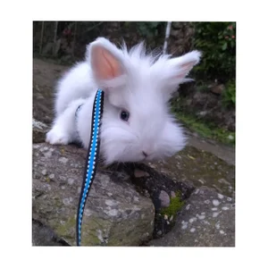 MY PEPE♥ od KOREN_JALAA  7 snímek