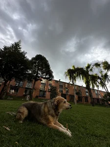 ari_kat real me Foto 9