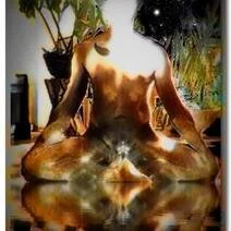 Thomate24 Künstlerisches Εικόνα 4