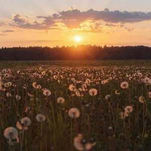 DorothyJones summer time Pic 2