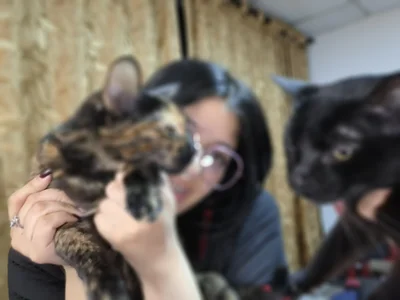 lana_dol: Just lol meow ( 2 фото)