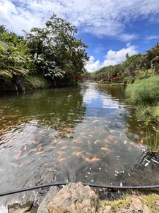 ErosDominant Travel Gambar 7