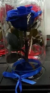 Public od Ang3l_19  2 snímek