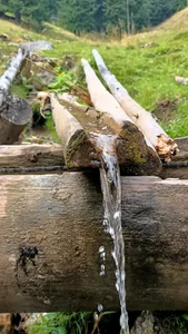 Saysomething3 Public Foto 4