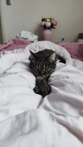 LanaRadiance My favorite Splyushka😸(My pussy) Pic 3