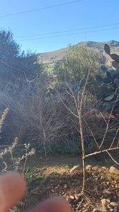 ramdhanov Public Billede 3