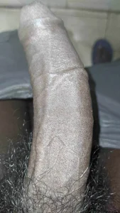 SlnimashiPublic Bild 2