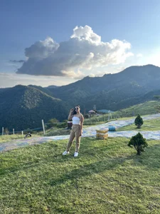 Dannittaa Hello Bilde