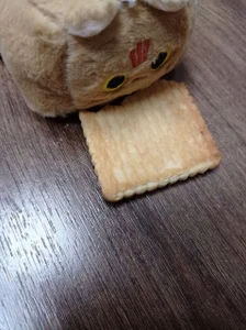 SetsunaRengoku Cookie pookie eats 圖片 4