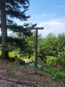 Lisaonthemoon Schwarzwald <3 Pic 7