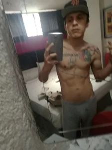 Public de landy20cm  photos