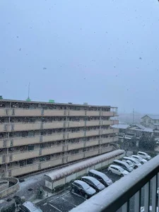 毎年冬にはおなじみの風景。 de _Mizuki_  Imagens