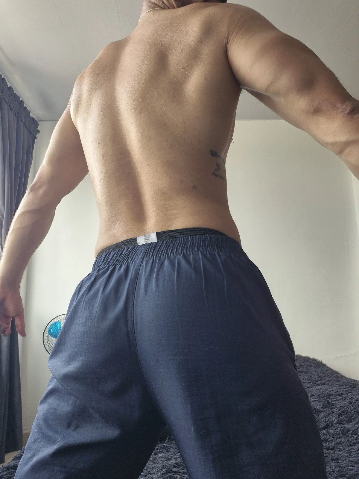 David_Alpha popularna fotka 4106