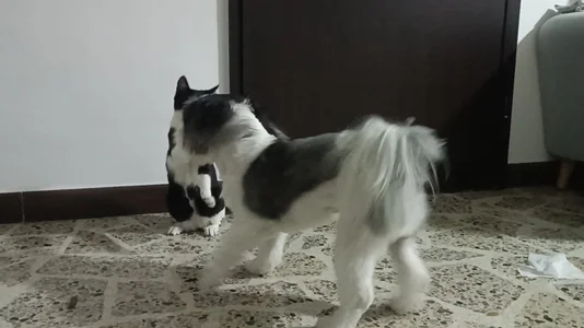 Public de Alex-Harrington  2 Imagens