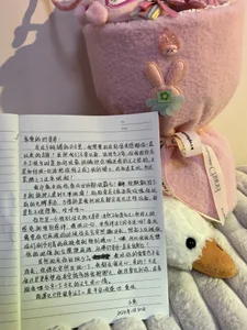 给我最爱的骑士们的手写信《89篇》