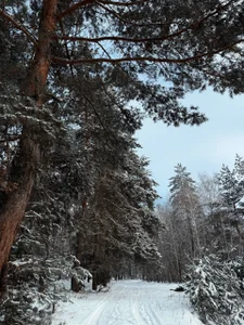 barbara_crazy Mesmerising beauty 😍 Hình 4