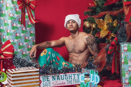 davis_alx1merry christmas图片