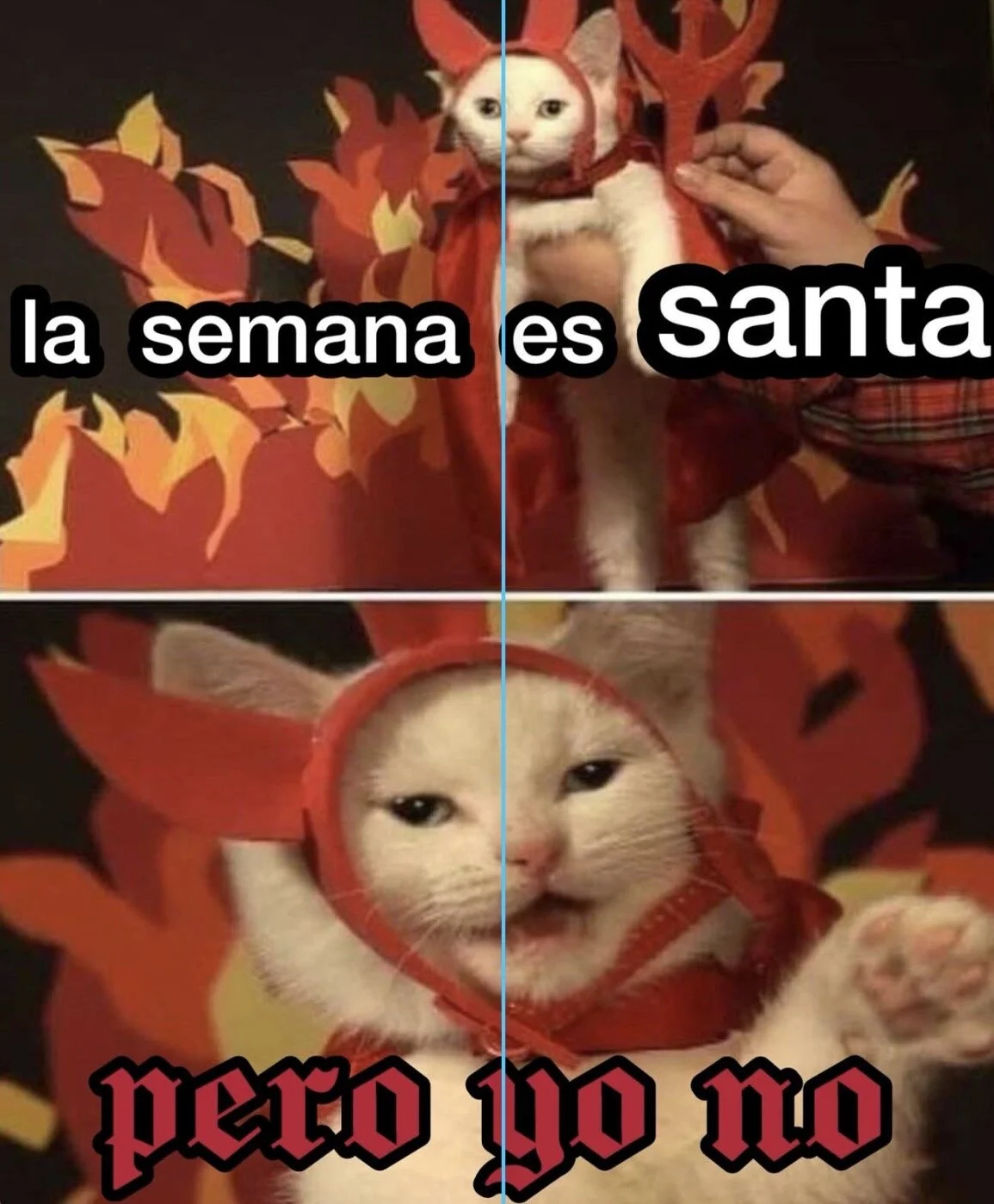 Eva_Macalliter Δημοφιλής εικόνα 6846