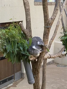 Sei_room Public  4. fénykép