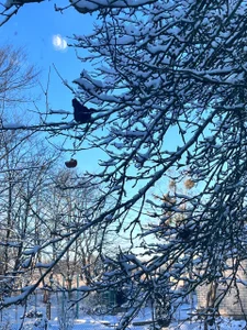 BellaBriggs 🩵🩵🩵  3. fénykép