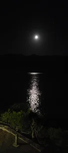 Ory_stev: Public ( 3 фото)