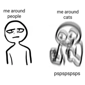 Catleya 02 - Cts od MissCat143  6 snímek