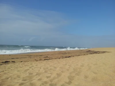 daddyschuppa: sea ( фото)