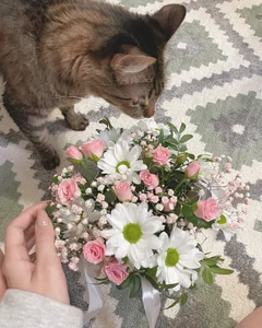 Kamila_icee Thank you, gentlemen♥️ slika 8