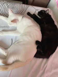 Zdjęcia HaruRose_ Public:  2