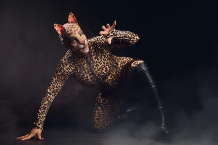 star_hanks Do you like this little cat?😼 Pic 3
