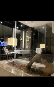 baojai01 自拍 Immagine 