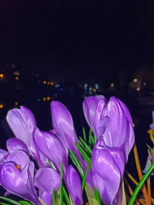 MarieKarma My Women’s Day celebration Pic 3