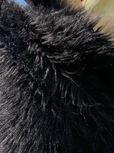 Desyrixx Fur Billede 7