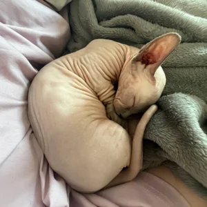 nancy_chancy 🐱 meet Yasya 🐱 зображення 9