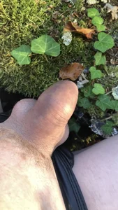 moi extérieur od adampumped  7 snímek