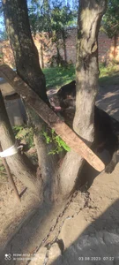 Ivanov69444 @@@ Billede