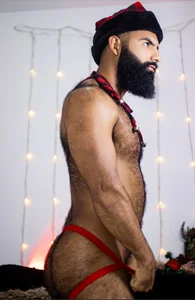 BeardAndrew Beard Xmast Immagine  2