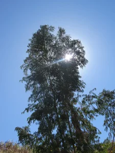 audreyp2018 kullanıcısının Public albümü -  5 fotoğraf