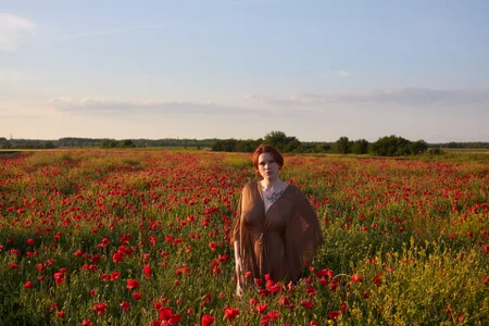 In the poppy field