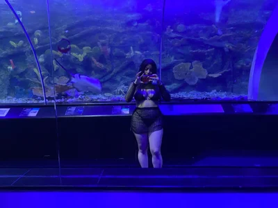 hi de __CELESTE__  Imagens