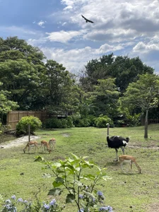 marckalexis Angelo 🫶🏻✨🔥❤️ Poză 6