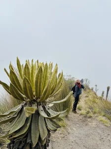 Angell-Bell- This is what I call happiness Poză 7