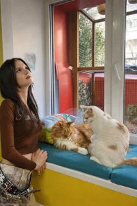 Zdjęcia Glow_hollow Public:  4