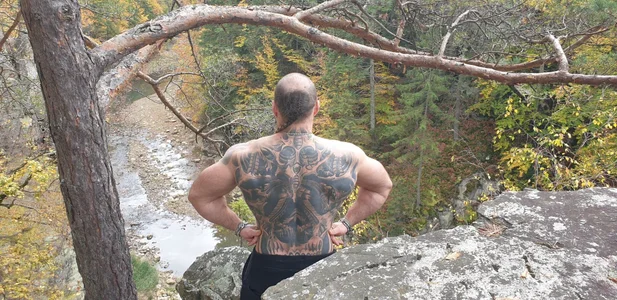 viking_30 nature Εικόνα 3