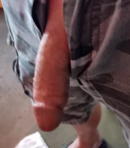 biswingcruiser Public зображення 8